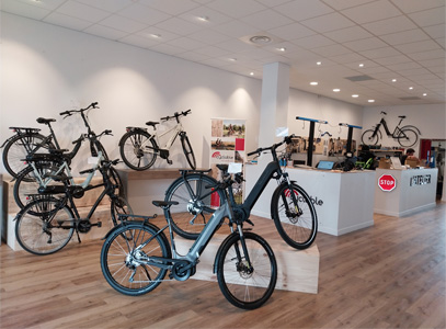 Intérieur magasin de vélos Pau