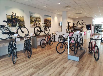 Intérieur magasin de vélos Pau